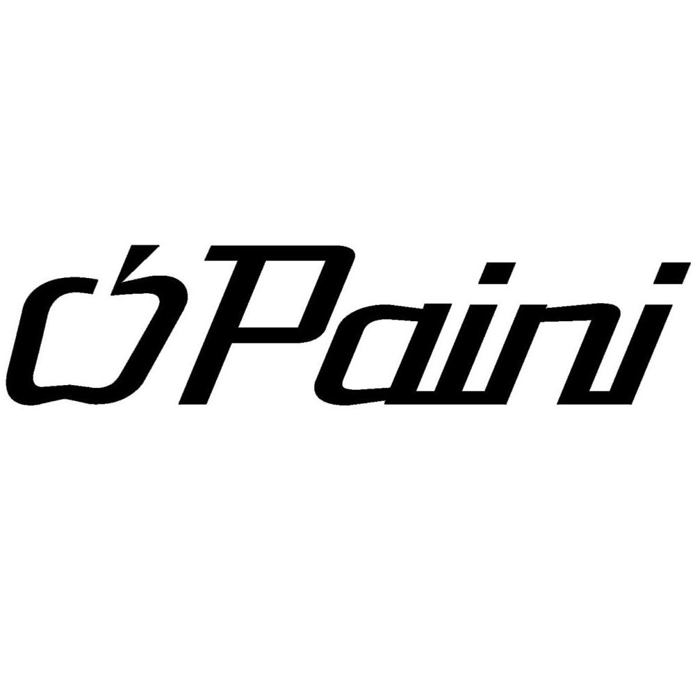 Paini